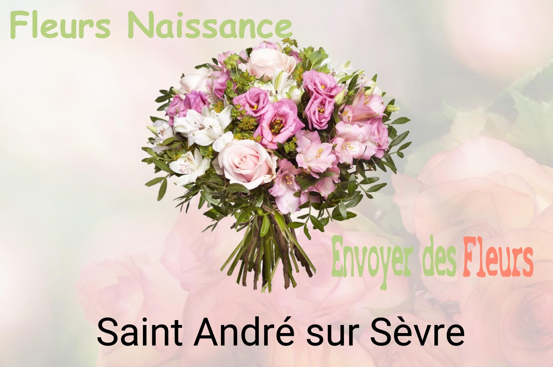Bouquet de fleurs de naissance livré à Saint-André-sur-Sèvre